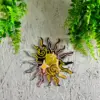 Groovy Sun Mirror