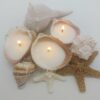 Handmade Seashell Soy Candles-Beach Candles-Ocean Shell Candles