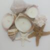 Handmade Seashell Soy Candles-Beach Candles-Ocean Shell Candles - Image 2