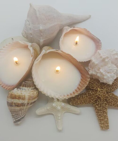 Handmade Seashell Soy Candles-Beach Candles-Ocean Shell Candles