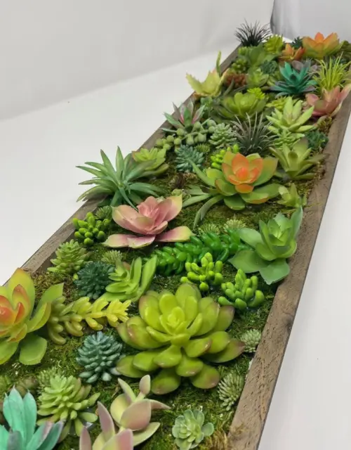 Succulent Wall Display: Lifelike Botanical Oasis