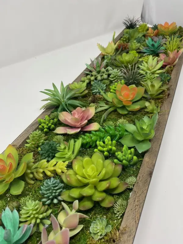 Succulent Wall Display: Lifelike Botanical Oasis