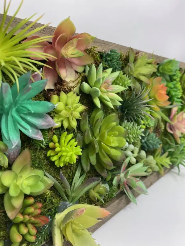 Succulent Wall Display: Lifelike Botanical Oasis - Image 2